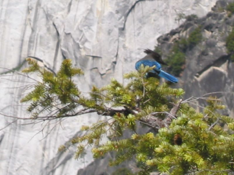 Anke Jan Yosemite June 14 2003 023